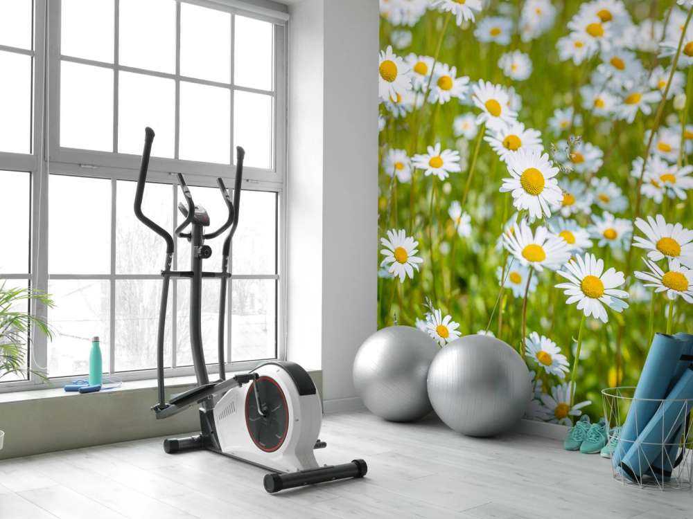 Madeliefjes in een veld