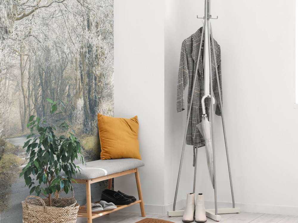 Bevroren weg door bos