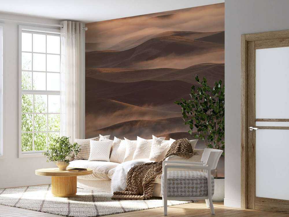 Early Spring Morning at Palouse