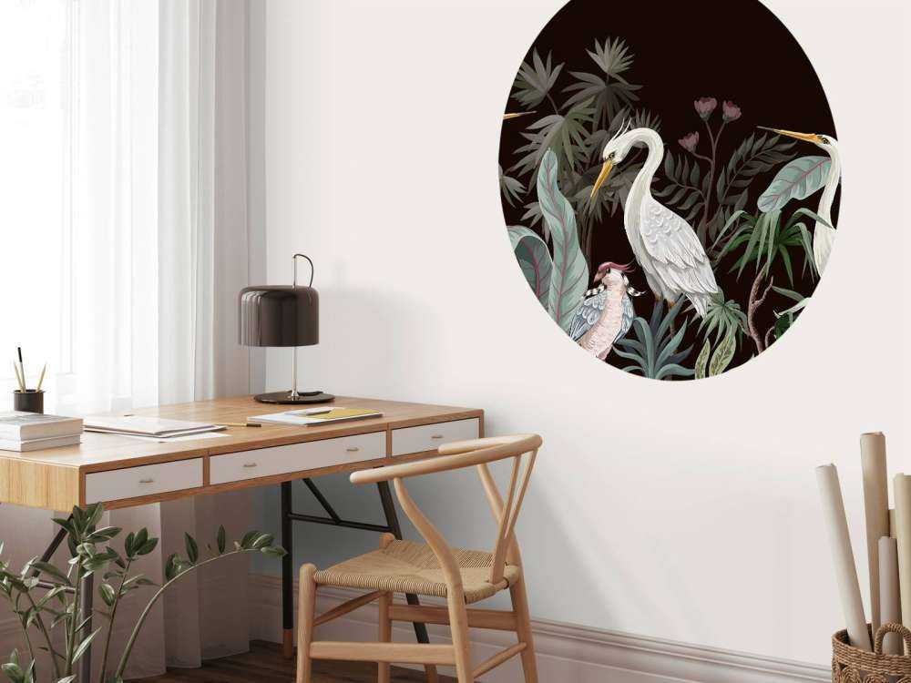 Sierlijke kraanvogels