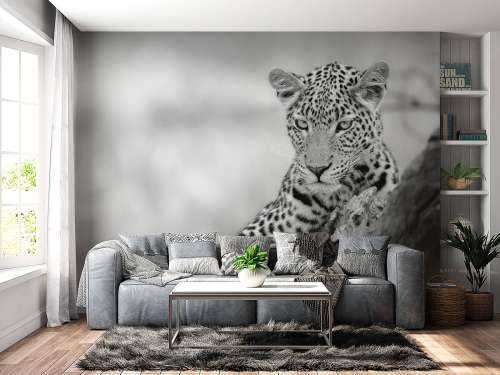 Luipaard zwart, wit