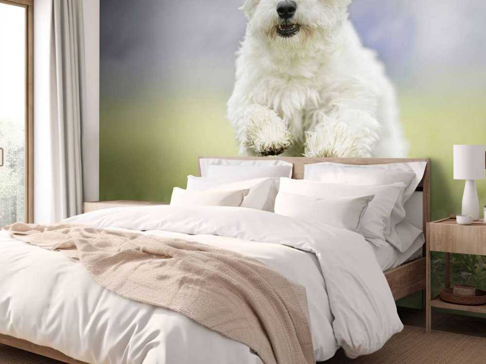 Rennende hond
