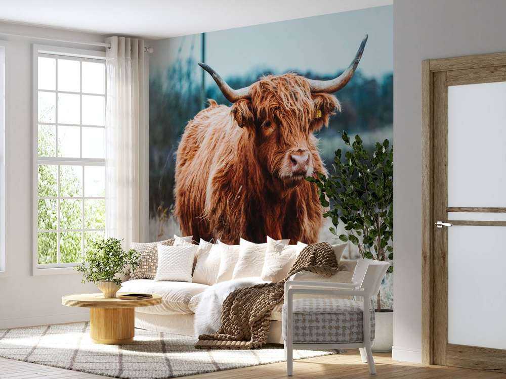 Schotse hooglander in het bos