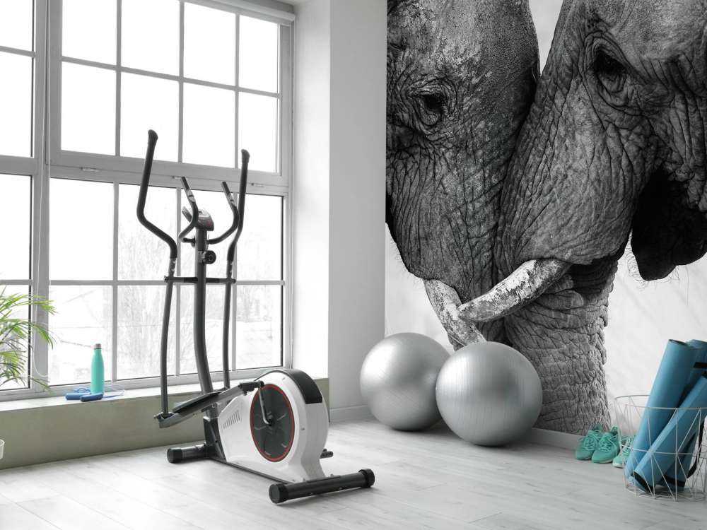 Fotobehang olifanten