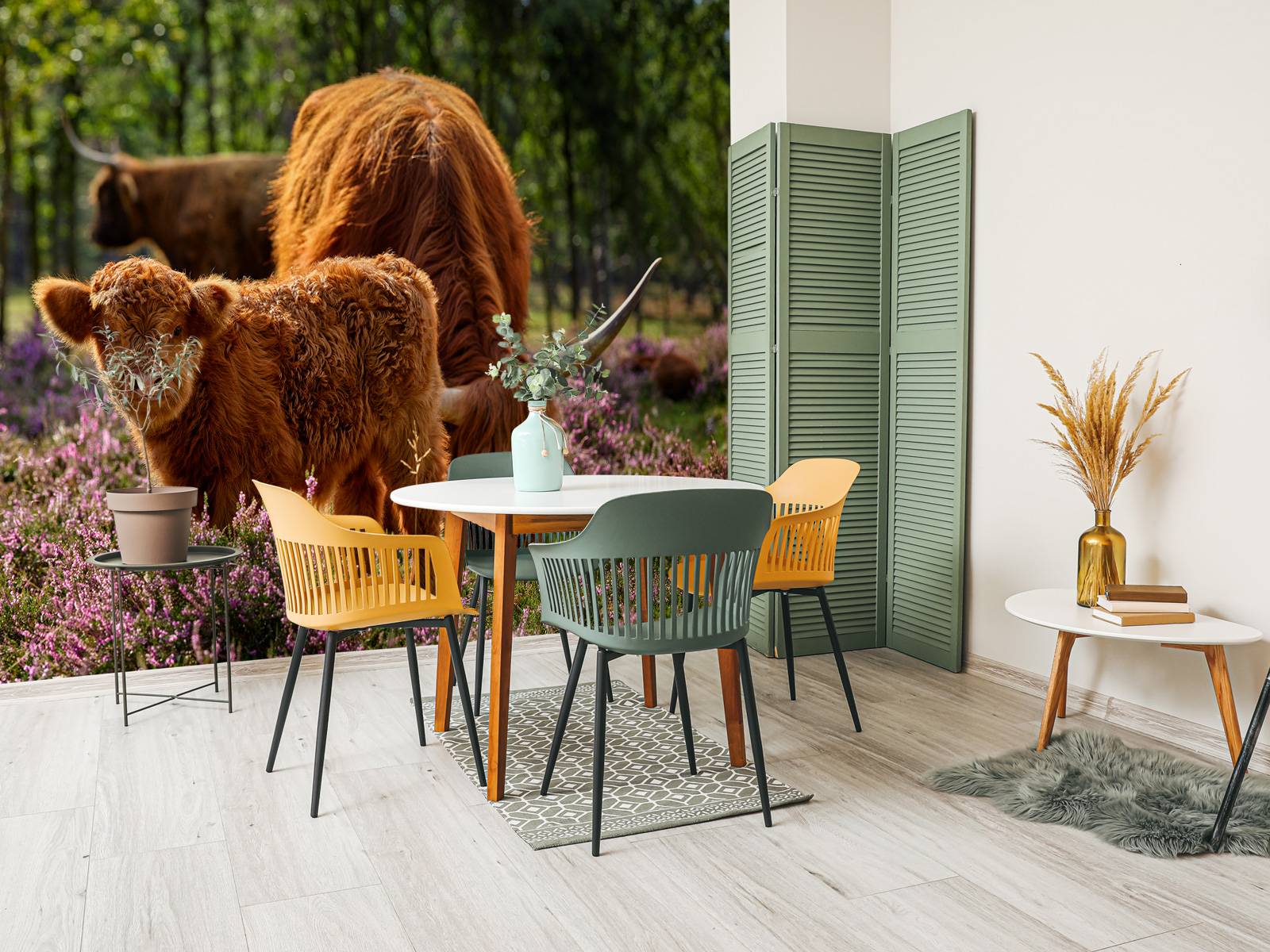 Familie Schotse hooglanders