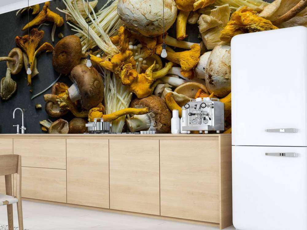 Verschillende paddestoelen