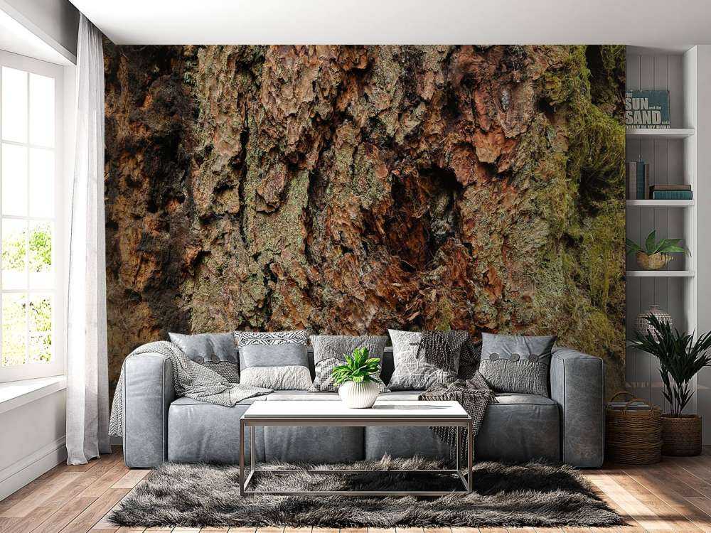 Boomschors oude boom