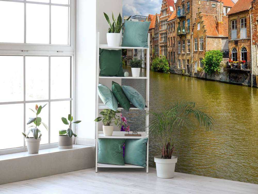 Historische huizen in Gent