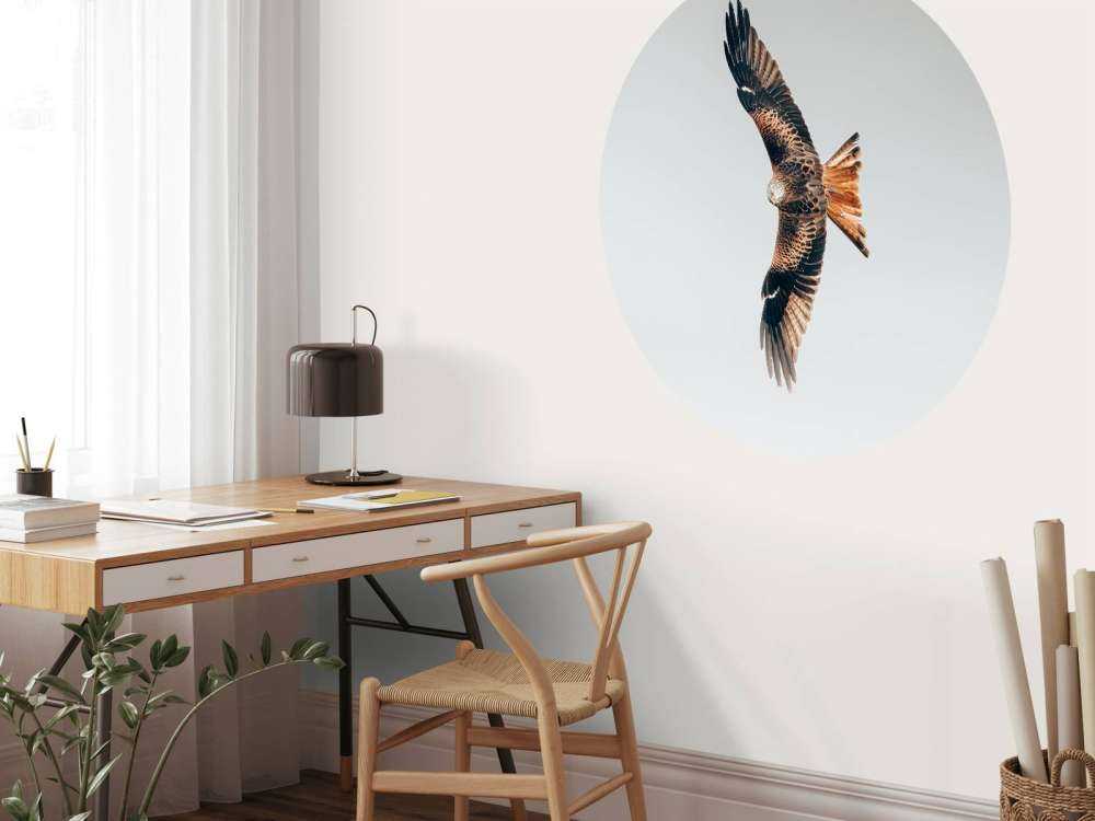 Rode wouw met gespreide vleugels