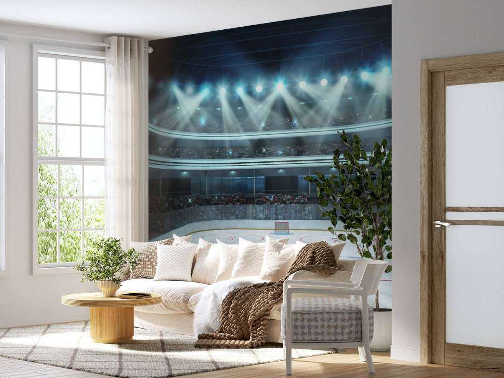 Luxueuze ijshockey arena op de lengte