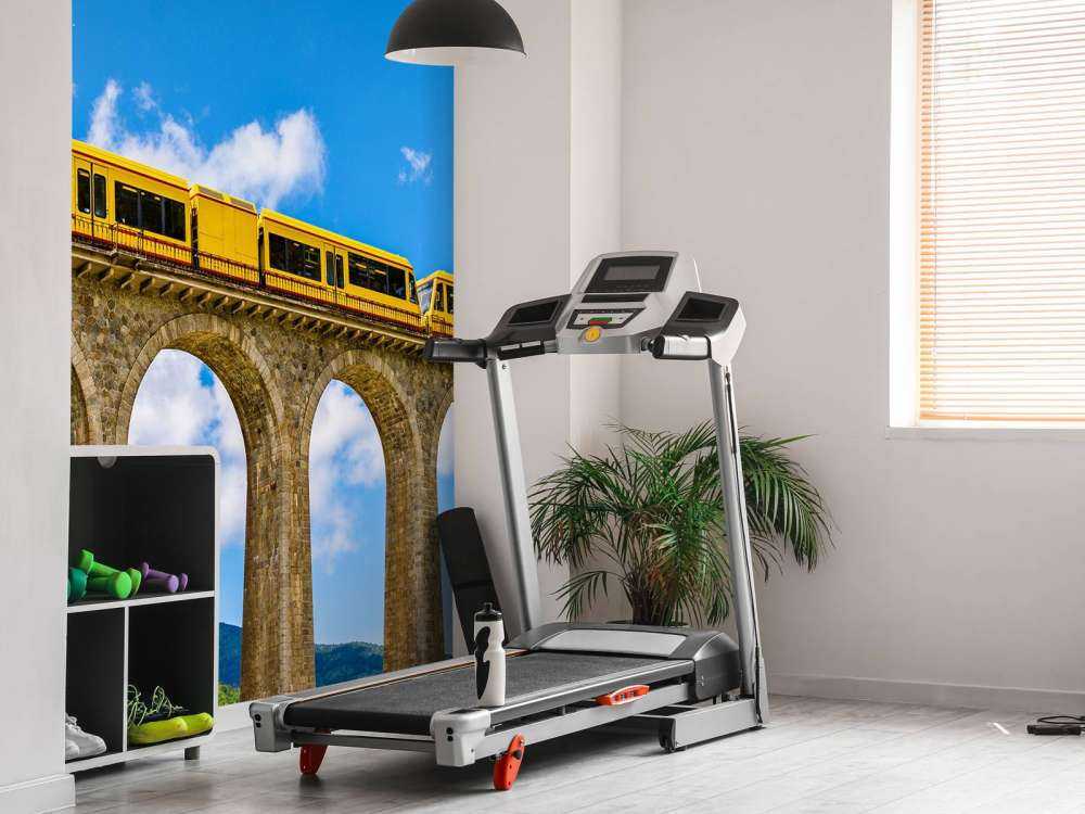 Gele trein op een viaduct in Frankrijk