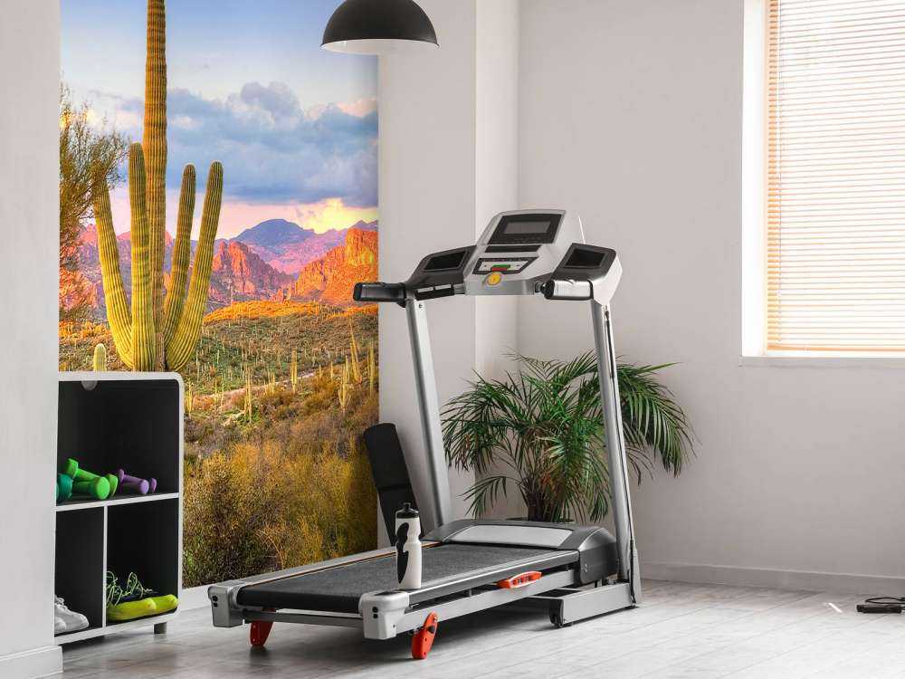 Zonsondergang in een steppe