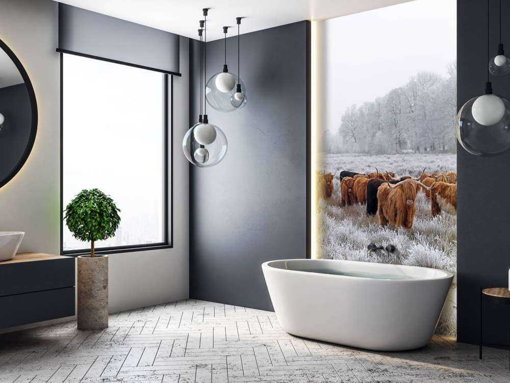 Schotse Hooglanders in een winterlandschap