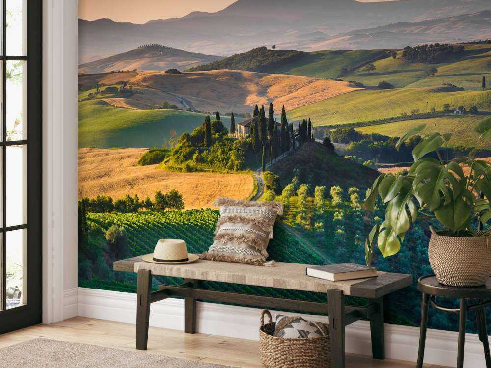 Toscaans landschap met wijngaarden