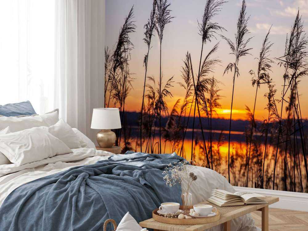 Rivier met riet bij zonsondergang