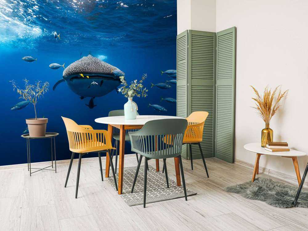 Whale shark escorted by a school of bonito