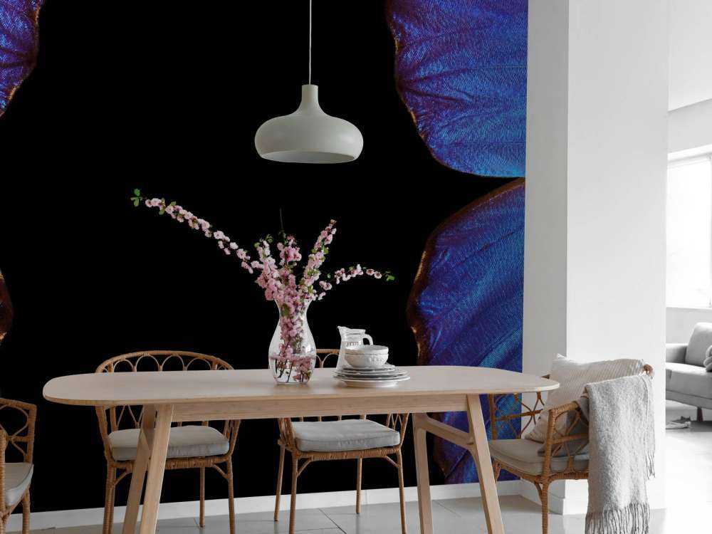 Twee vlinders met een zwarte achtergrond