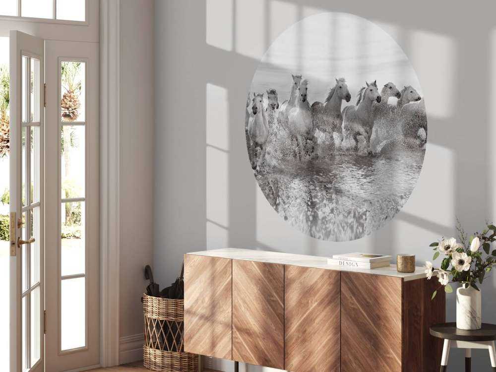 Illusion of power (13 horse power though)