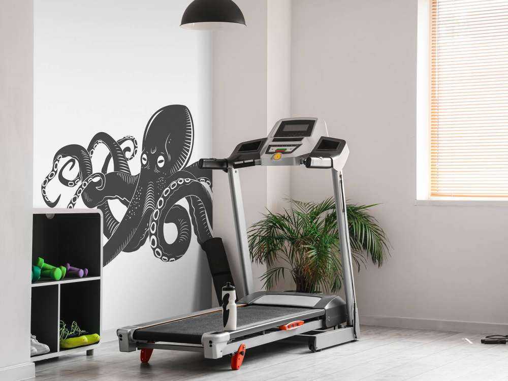 Octopus met een witte achtergrond