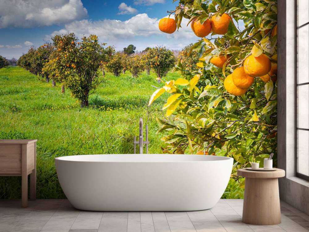 Sinaasappelbomen in Sicilië