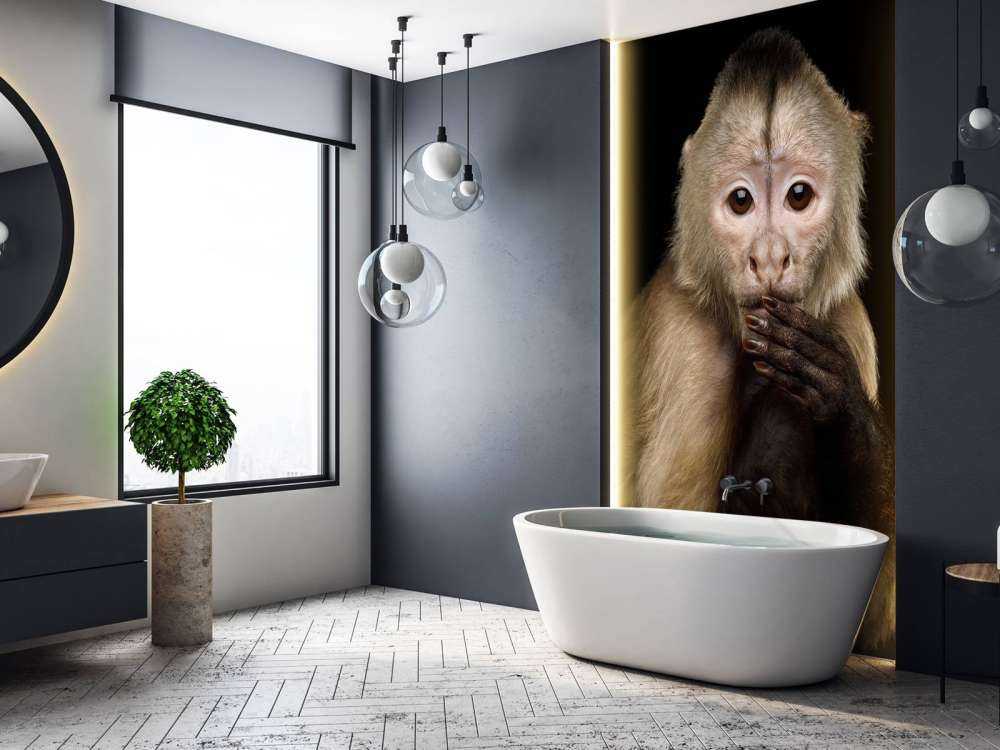 Kapucijnaap met een zwarte achtergrond