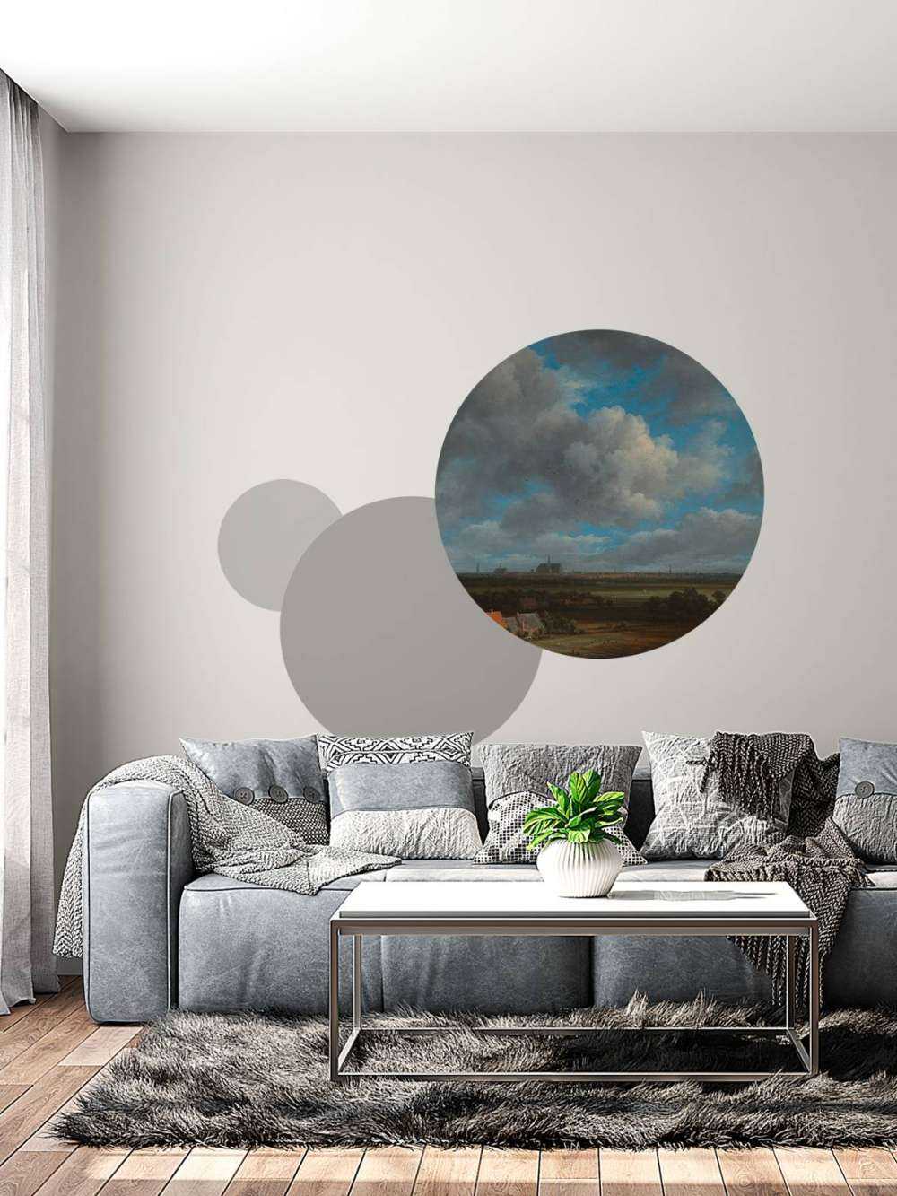 Gezicht op Haarlem uit het noordwesten