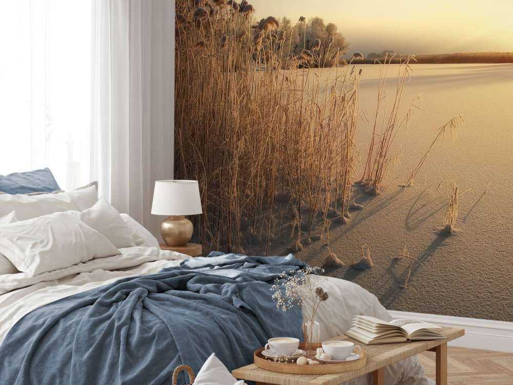 Riet op het strand bij zonsondergang