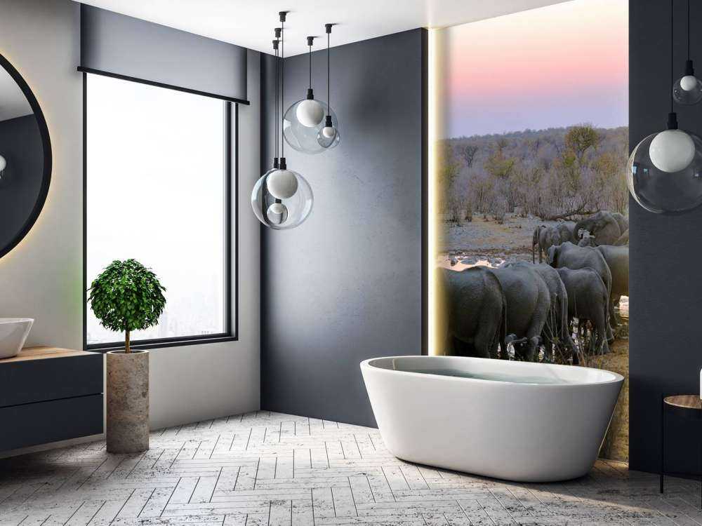 Olifanten langs het water