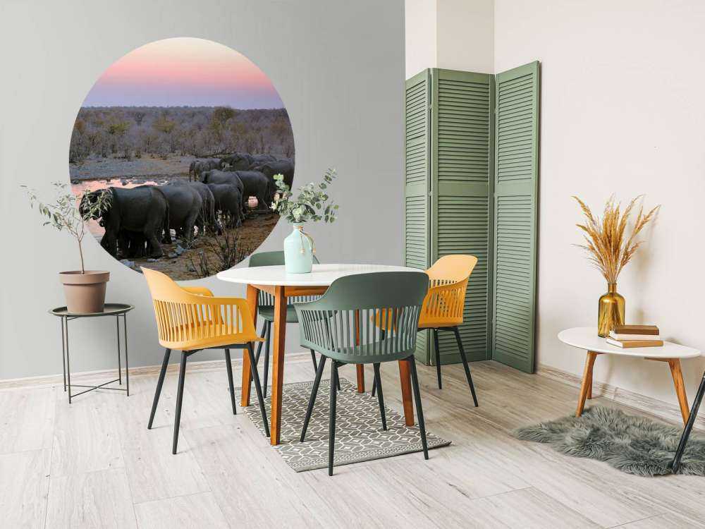 Olifanten langs het water