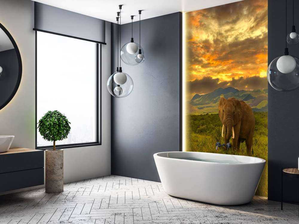 Olifant in Kenia bij zonsondergang