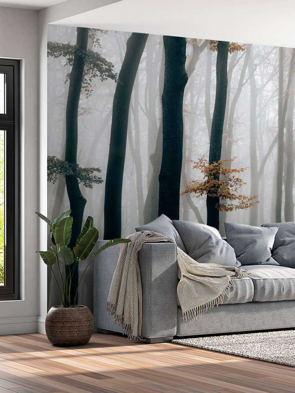 Mist in het beukenbos