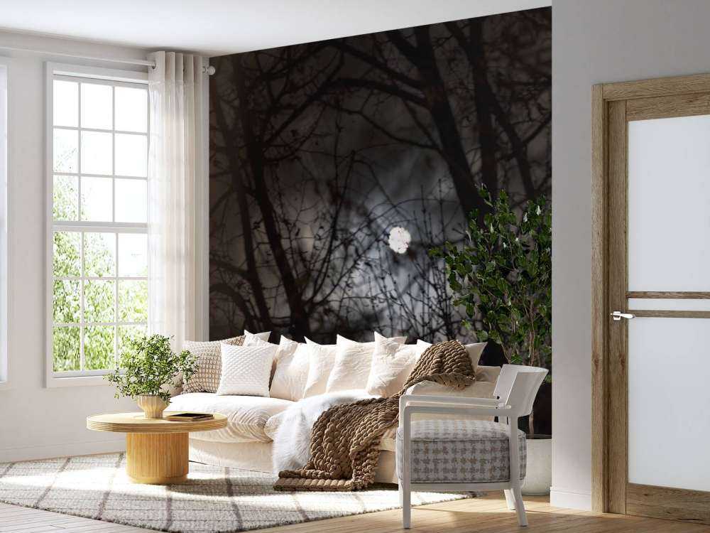 Volle maan vanuit het bos