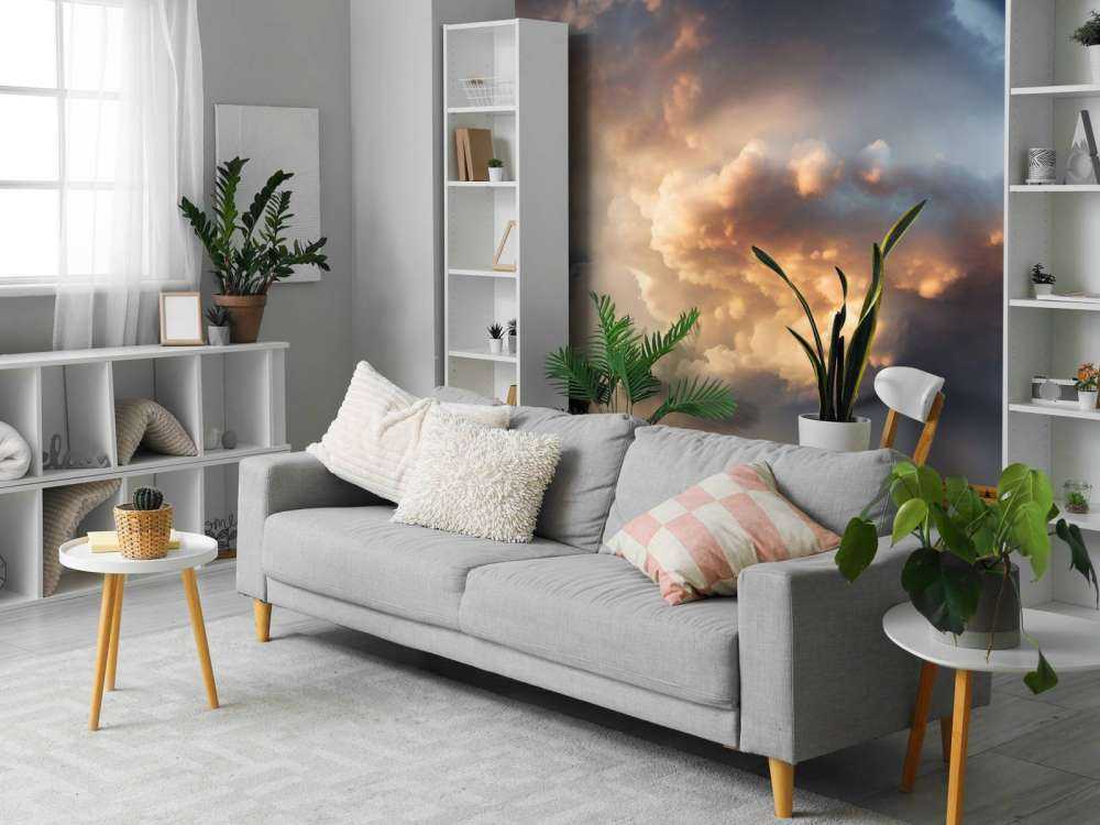 Storm over the Meadow