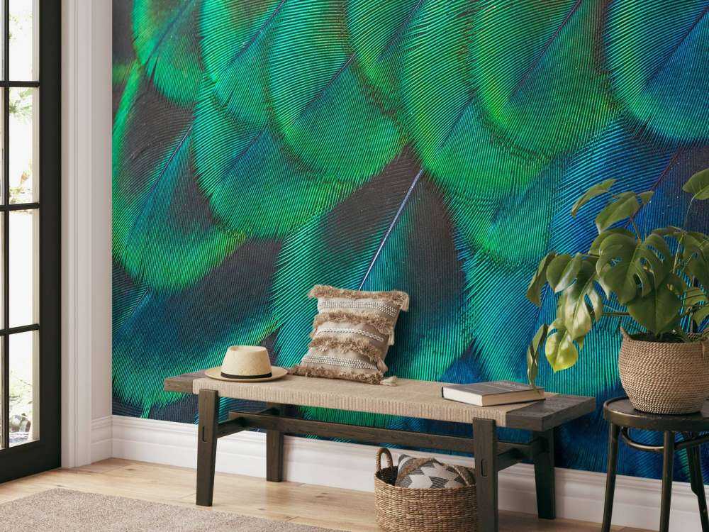 Close-up van pauwenveren