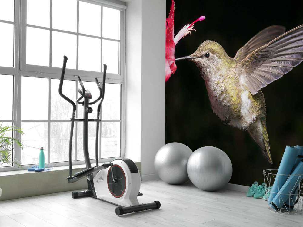 Kolibrie met rode bloem