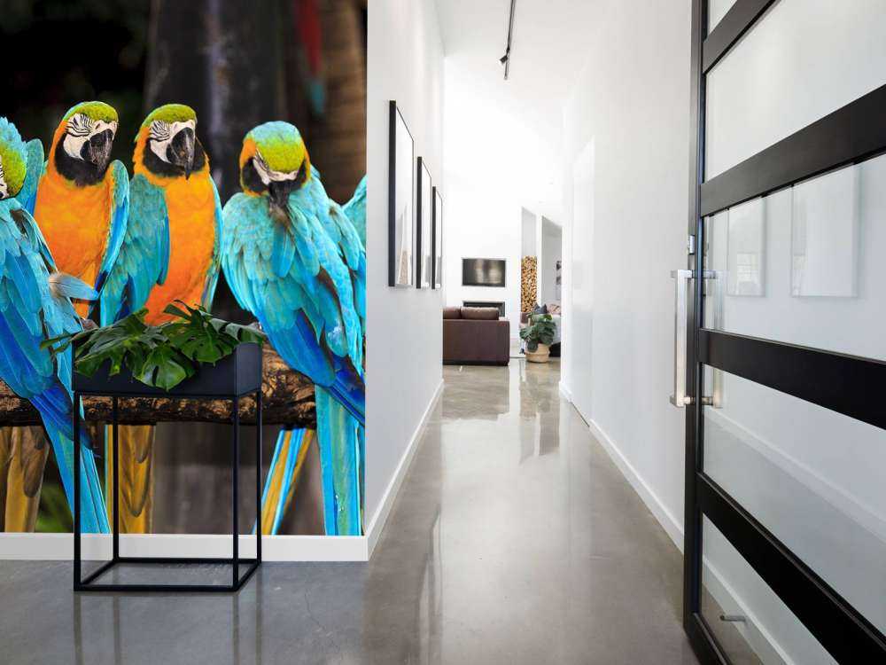 Papegaaien op een tak