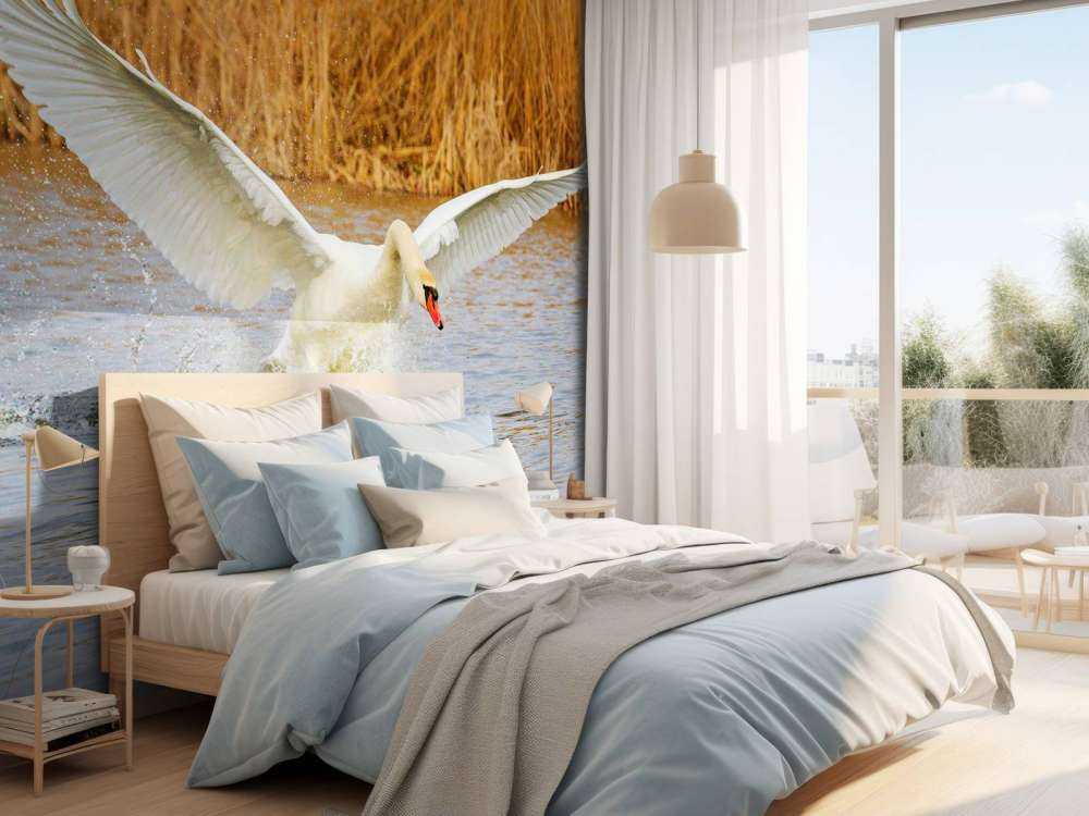 Witte zwaan vliegt weg