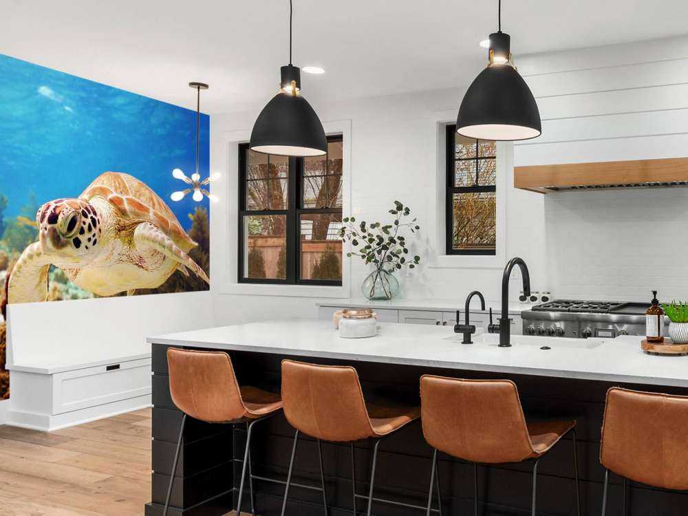 Groene zeeschildpad aan het zwemmen