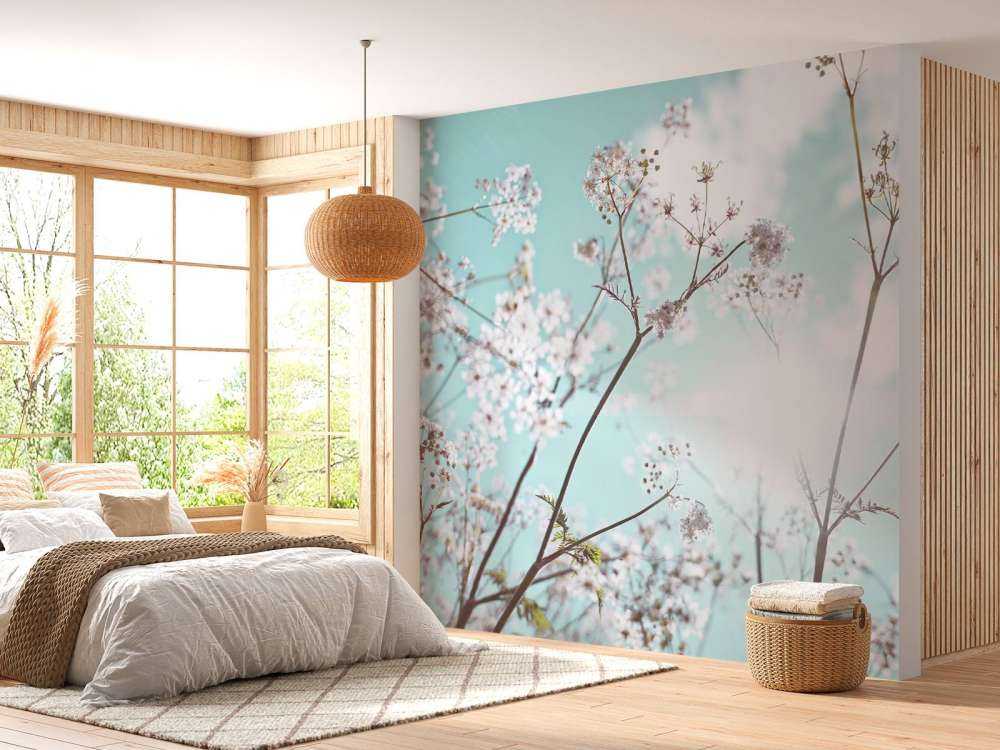 Amandelbloesem in de zon