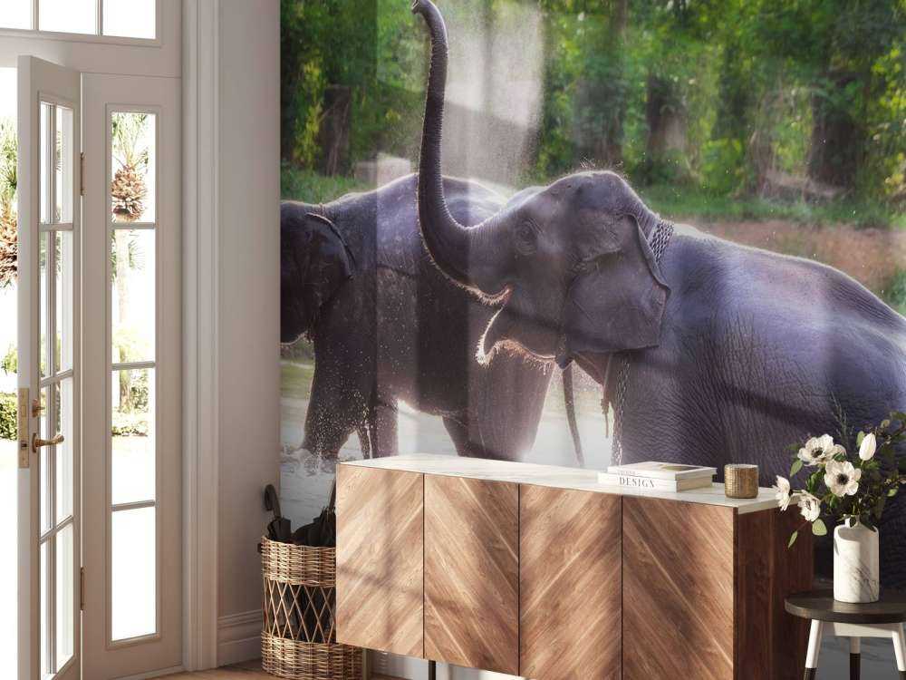 olifanten spelen in het water