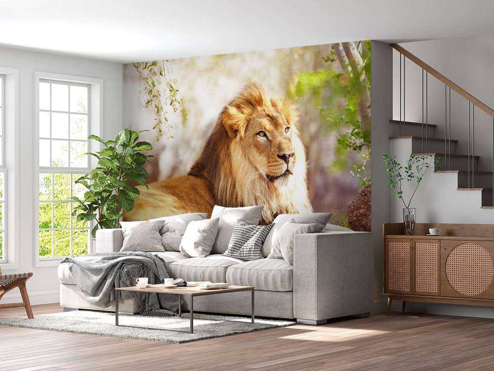 Prachtige Afrikaanse leeuw in de zon