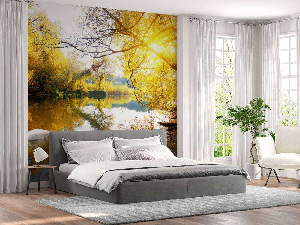 Witte Zwaan op Rivier met herfst