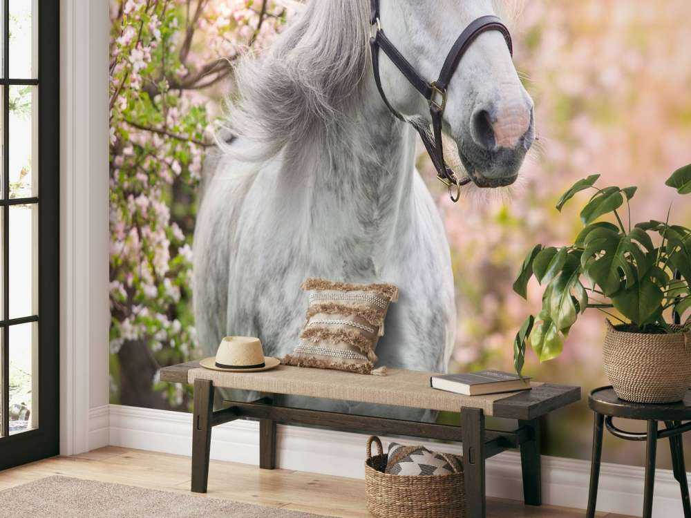 Wit Paard met Bloesem in Lente