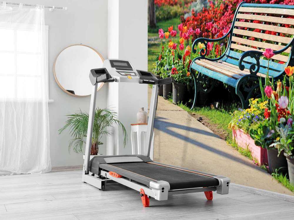 Park met kleurrijke tulpen