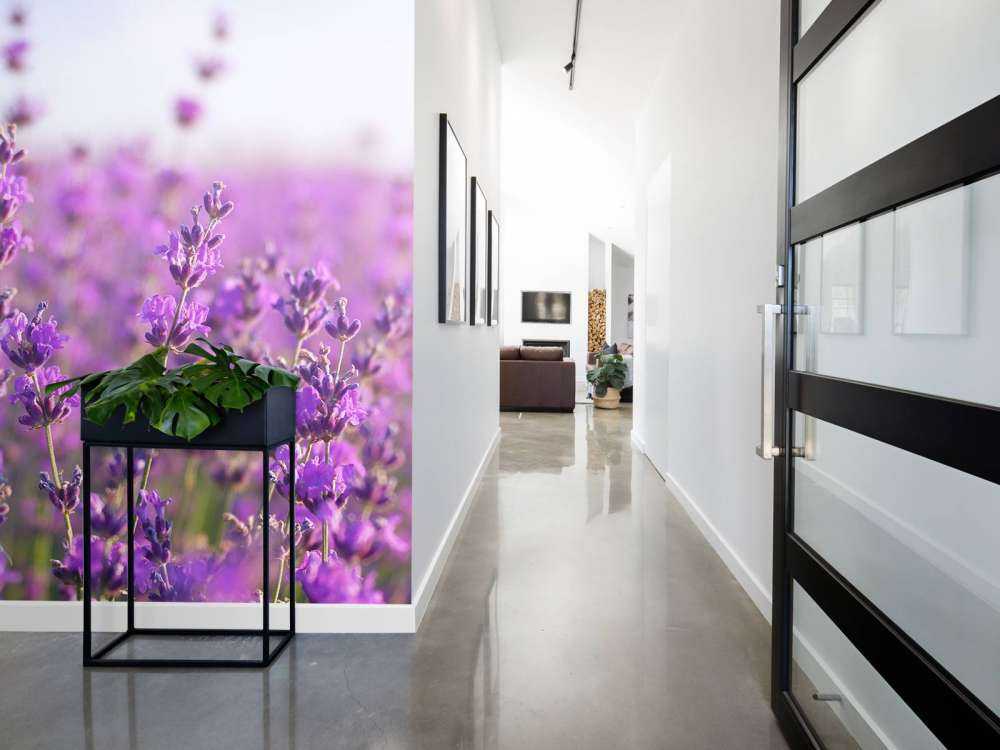 Close-Up van Lavendel