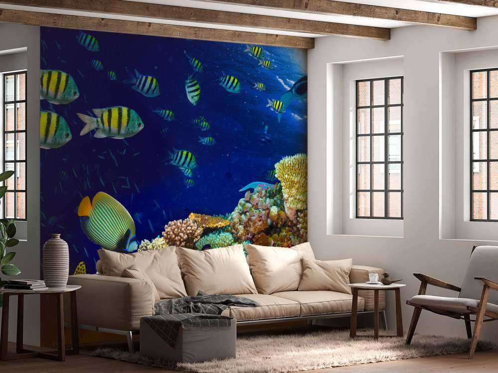 Zeeleven bij een koraalrif