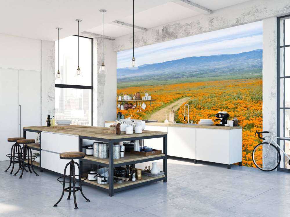 Oranje klaprozenveld in Californië