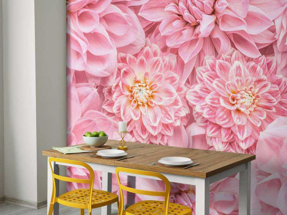 Roze bloemen met een gele kern