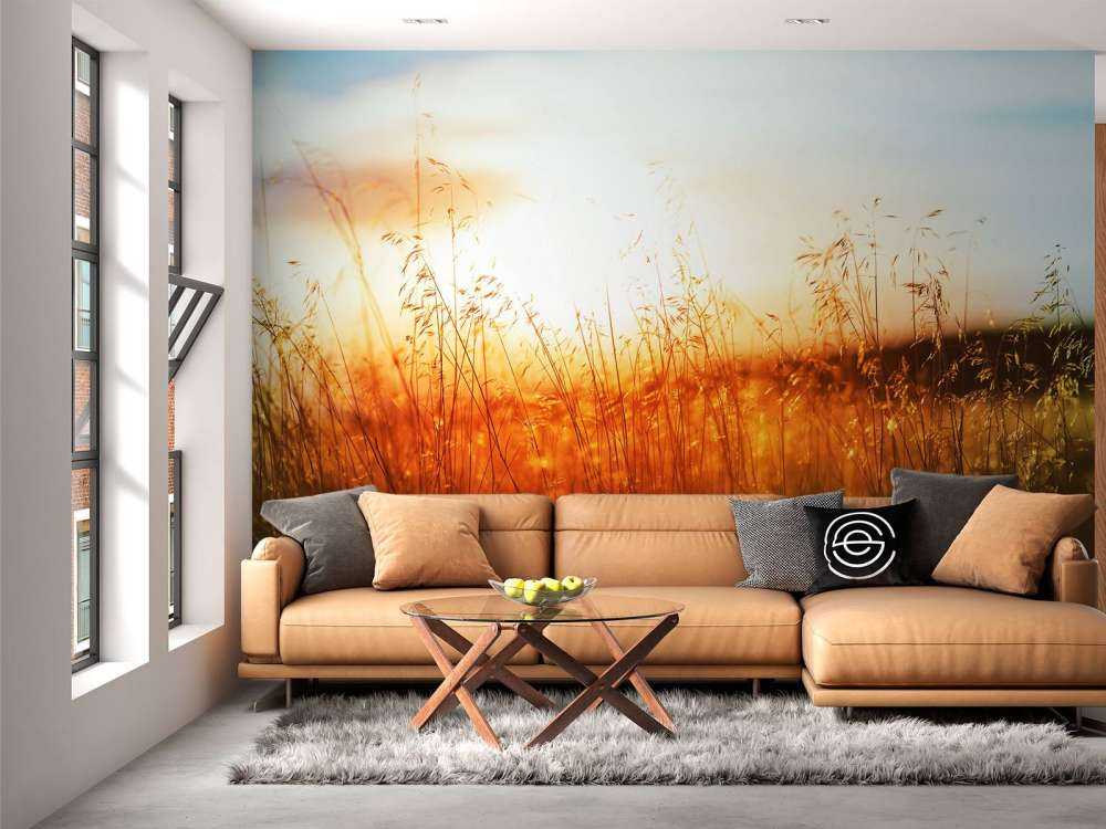 Een zonnige dag op de weide