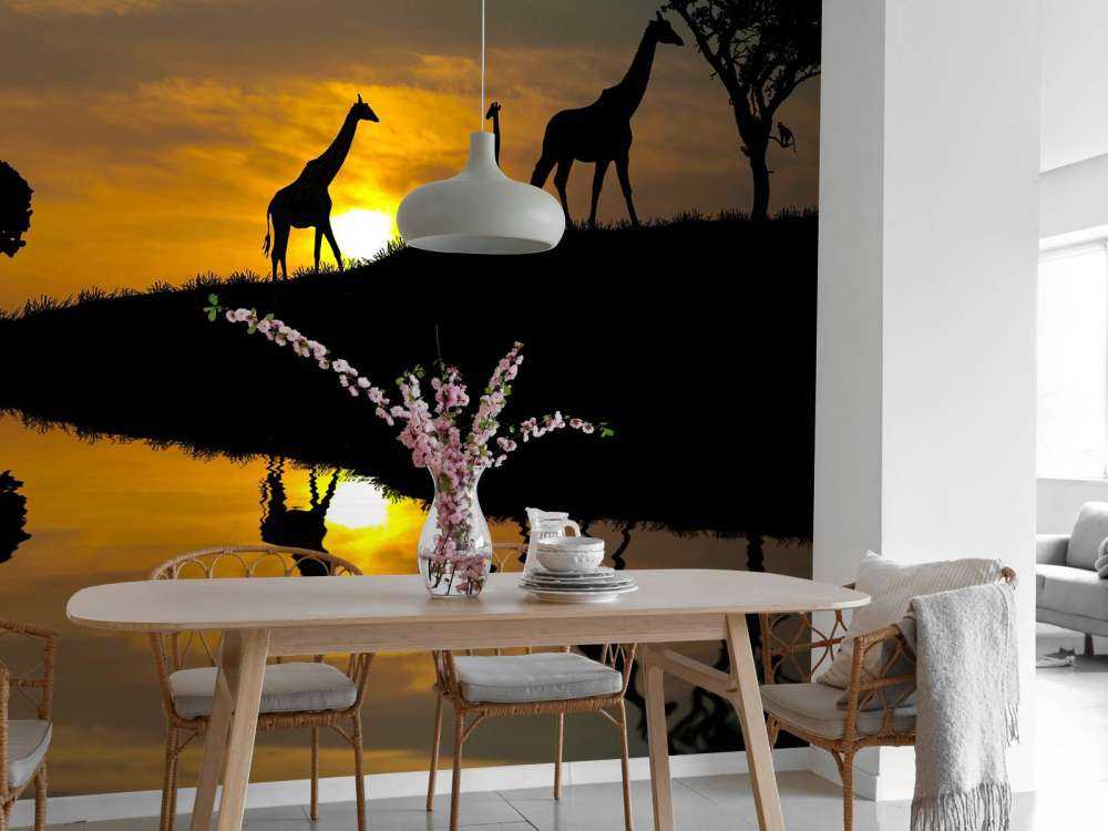 Zonsondergang in een tropisch gebied